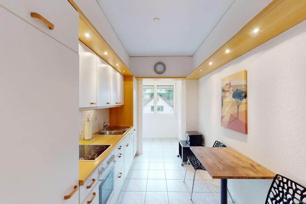 Executive 1 Bedroom Flat, City Center Zürich Eksteriør billede